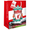 Liverpool FC Lahjakassi Medium